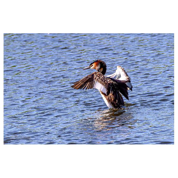 PHOTO84, CLUB, 84 , LUBERON